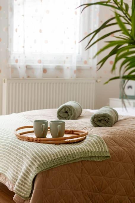 شقة Family Lux Lounge In Voeroesmarty Street By Nw بودابست المظهر الخارجي الصورة
